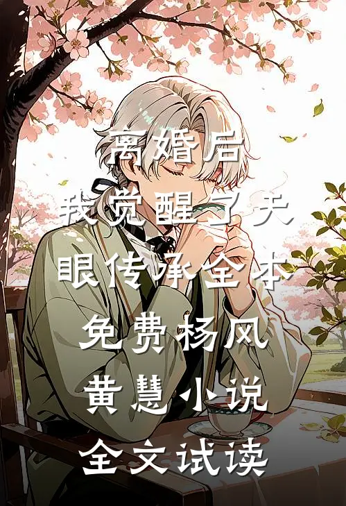 离婚后，我觉醒了天眼传承全本免费杨风黄慧小说全文试读