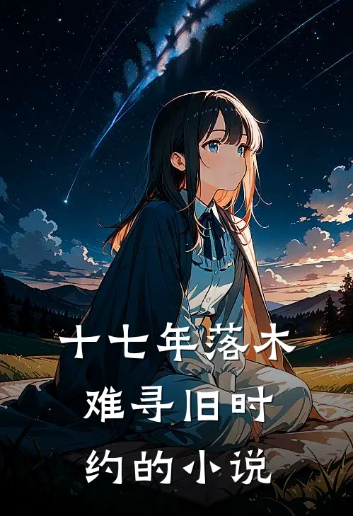 十七年落木，难寻旧时约的小说
