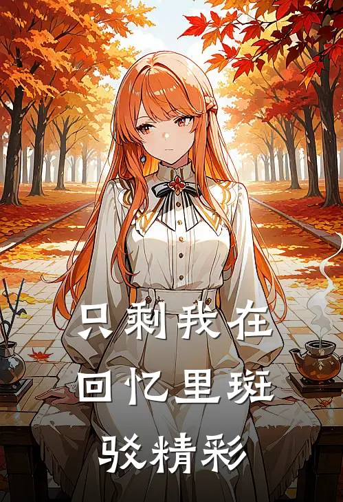 只剩我在回忆里斑驳精彩