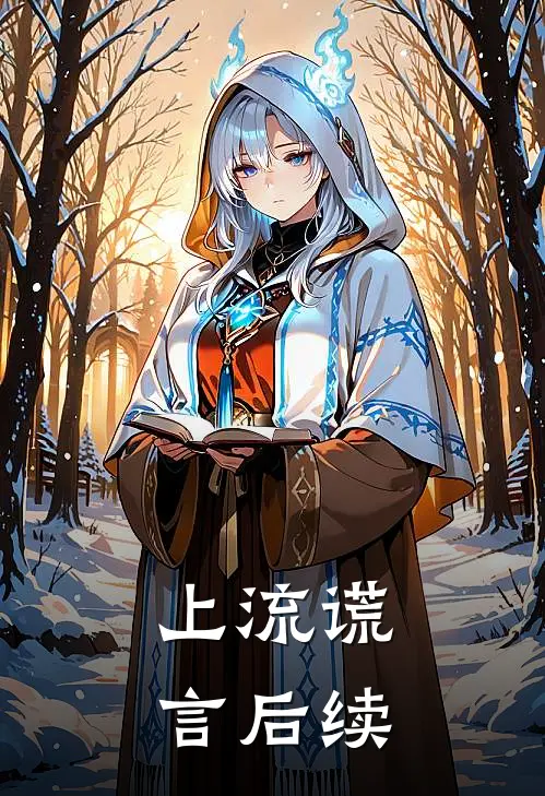 上流谎言后续