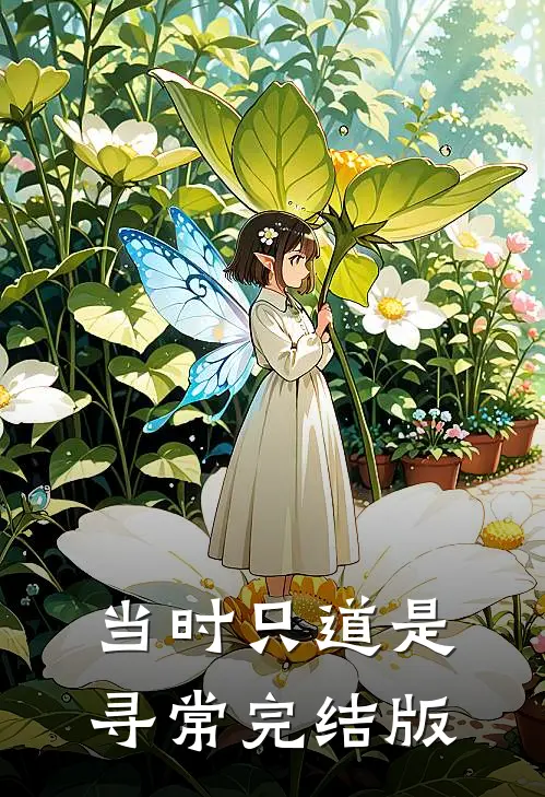 当时只道是寻常完结版