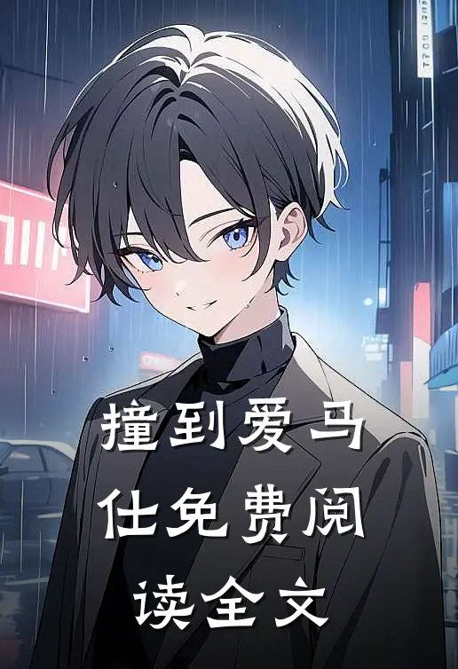 撞到爱马仕免费阅读全文