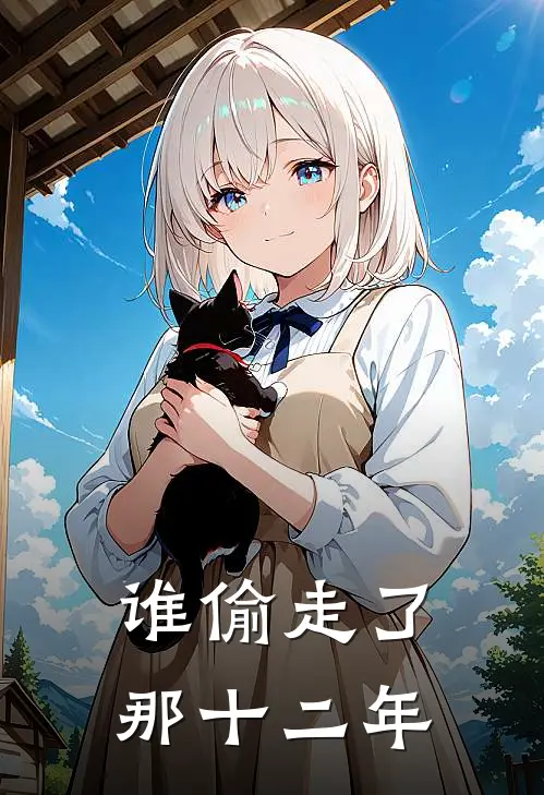 谁偷走了那十二年