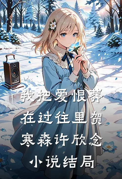 我把爱恨葬在过往里贺寒森许欣念小说结局