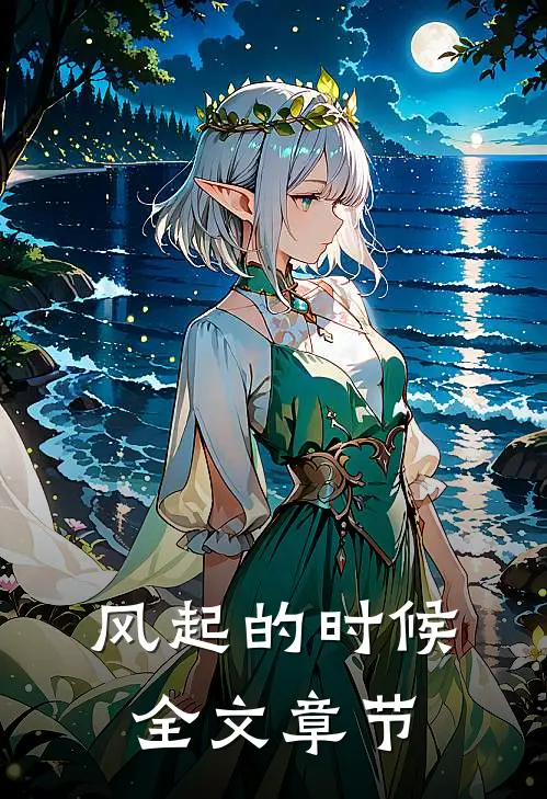 风起的时候全文章节