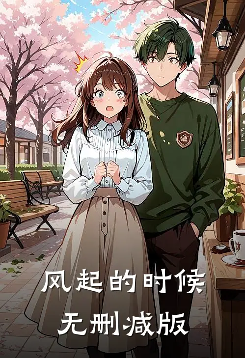 风起的时候无删减版