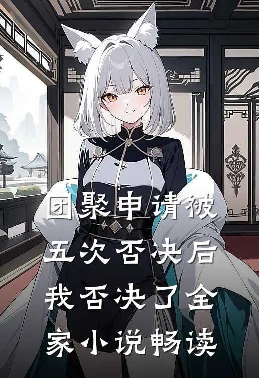 团聚申请被五次否决后，我否决了全家小说畅读