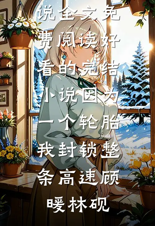 因为一个轮胎，我封锁整条高速顾暖林砚完整版小说全文免费阅读_好看的完结小说因为一个轮胎，我封锁整条高速(顾暖林砚)