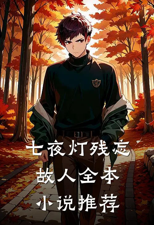 七夜灯残忘故人全本小说推荐