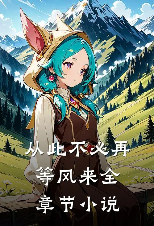 从此不必再等风来全章节小说