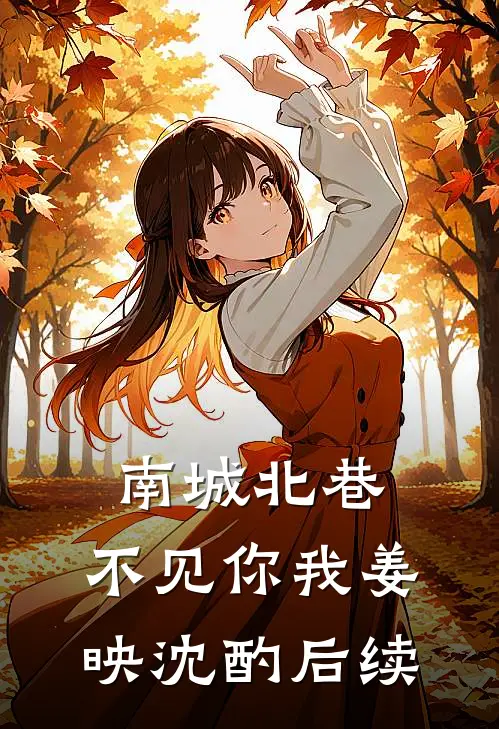 南城北巷，不见你我姜映沈酌后续