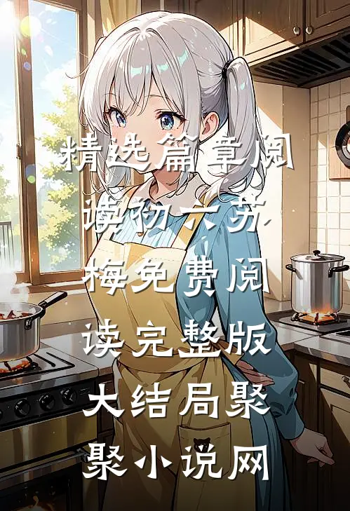 精选篇章阅读初六苏梅免费阅读完整版大结局聚聚小说网