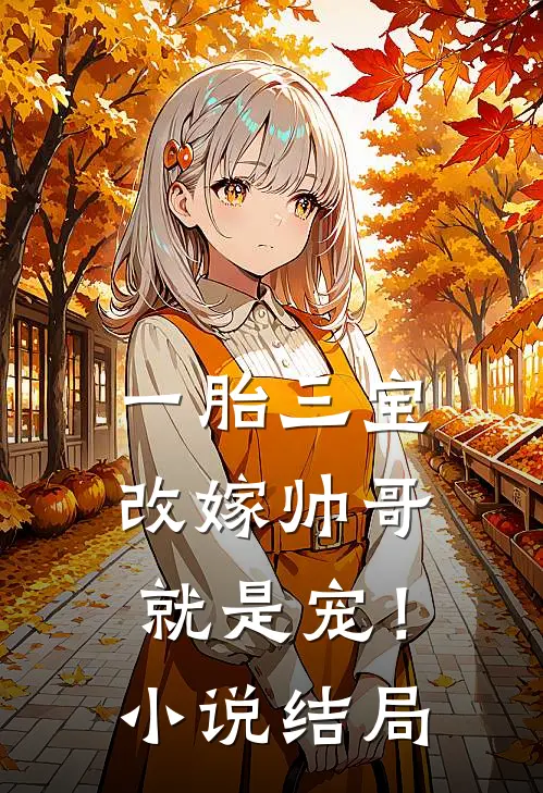 一胎三宝，改嫁帅哥就是宠！小说结局