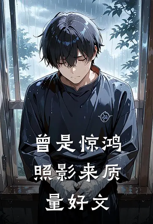 曾是惊鸿照影来质量好文