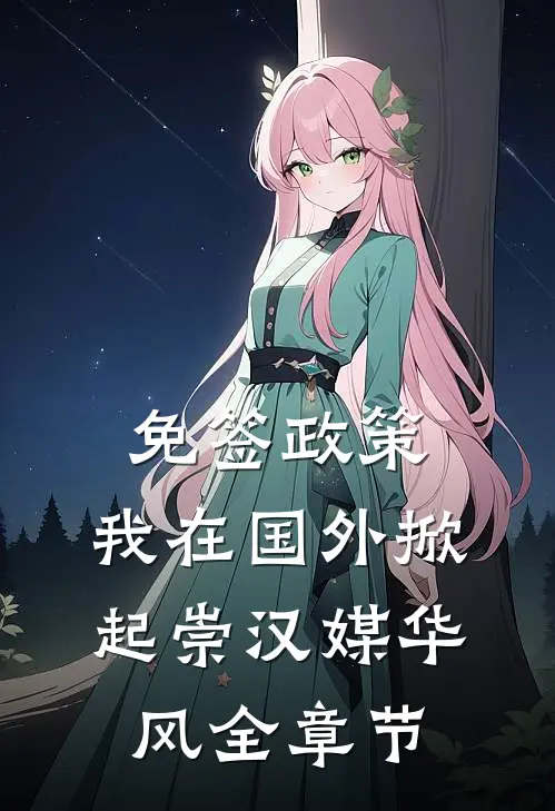 免签政策，我在国外掀起崇汉媒华风全章节