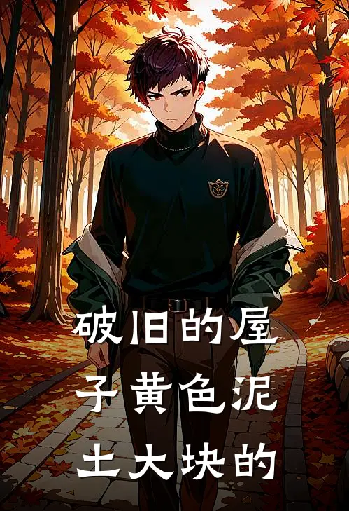 破旧的屋子黄色泥土大块的