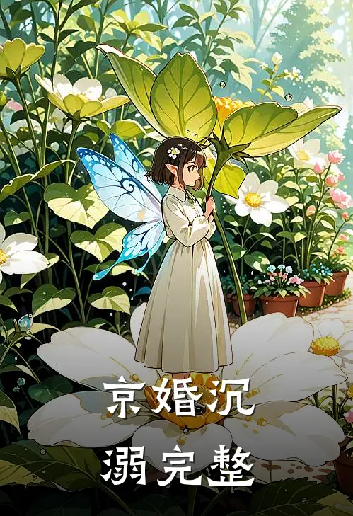 京婚沉溺完整