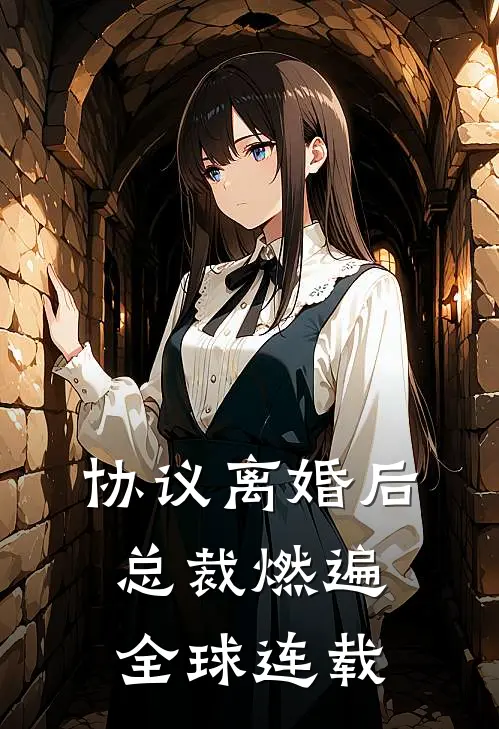 协议离婚后，总裁燃遍全球连载
