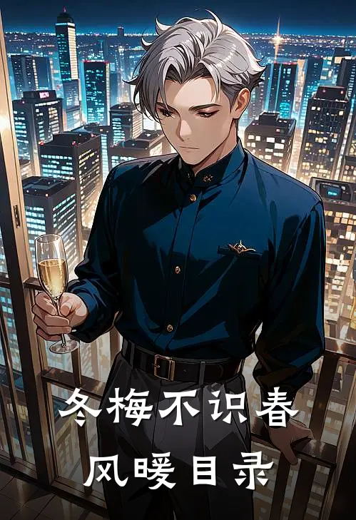冬梅不识春风暖目录