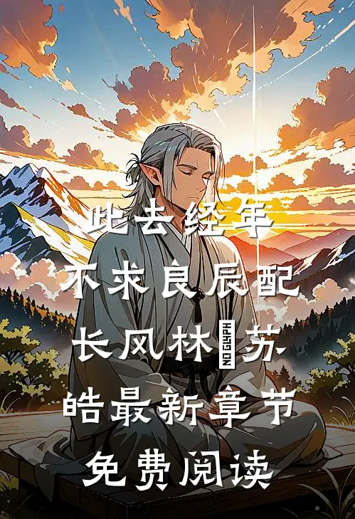 此去经年：不求良辰配长风林玥苏皓最新章节免费阅读