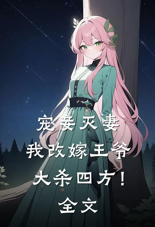 宠妾灭妻，我改嫁王爷大杀四方！全文