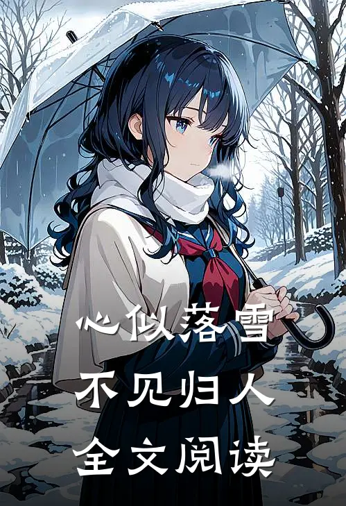 心似落雪，不见归人全文阅读