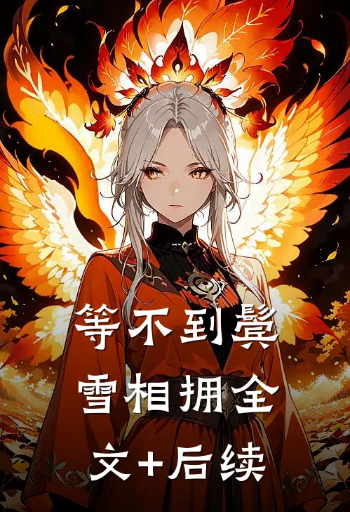 等不到鬓雪相拥全文+后续