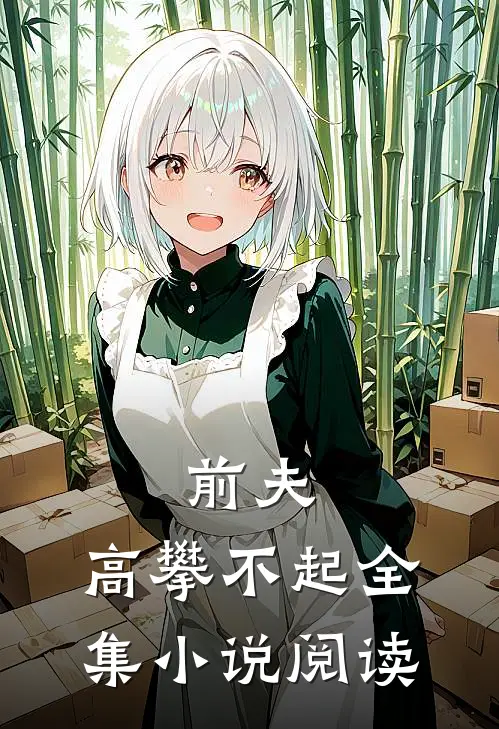 前夫 ,高攀不起全集阅读免费