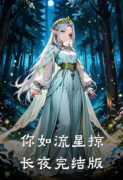 你如流星掠长夜完结版