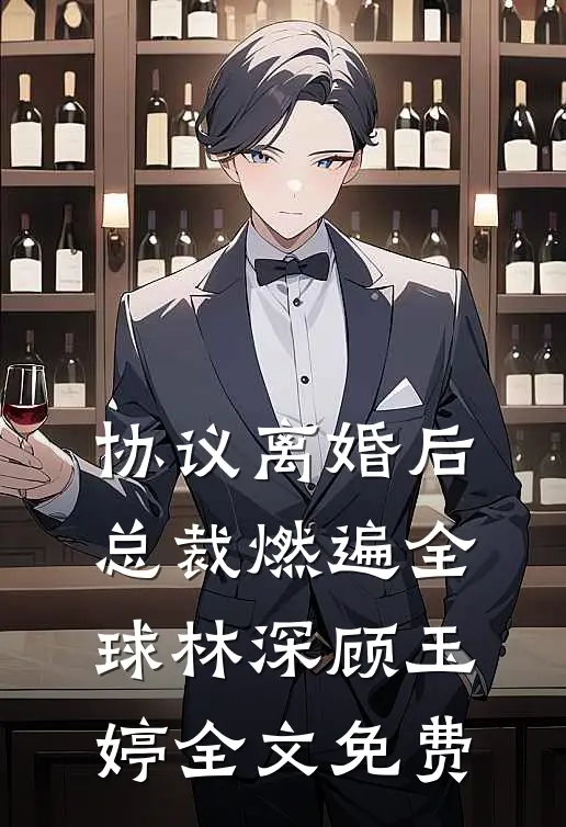 协议离婚后，总裁燃遍全球林深顾玉婷全文免费