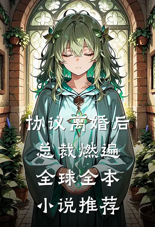 协议离婚后，总裁燃遍全球全本小说推荐