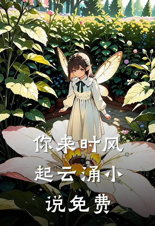 你来时风起云涌免费阅读