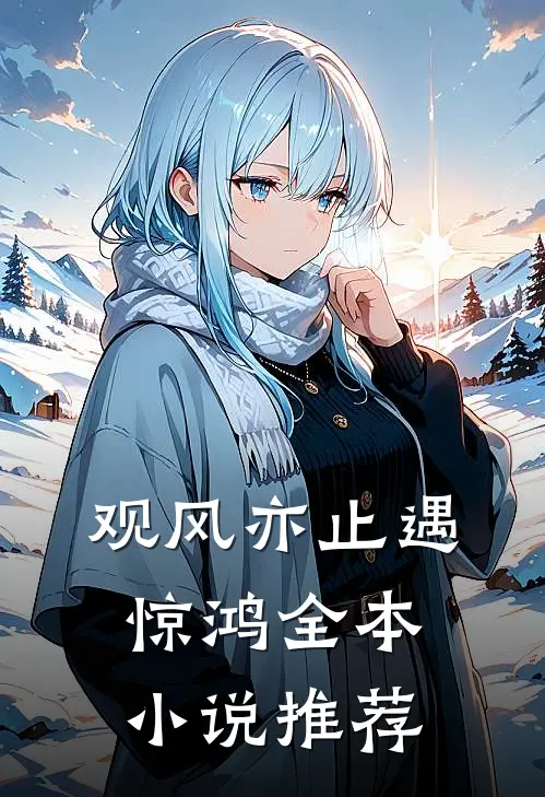 观风亦止遇惊鸿全本小说推荐