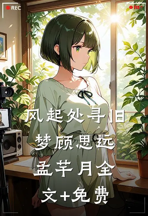 风起处寻旧梦顾思远孟芊月全文+免费