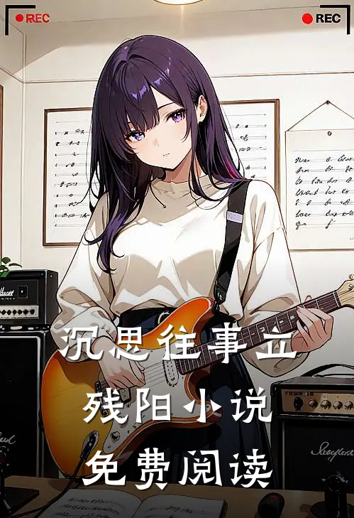 沉思往事立残阳小说免费阅读