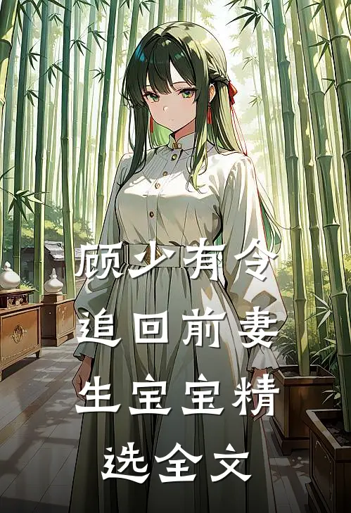 顾少有令:追回前妻生宝宝精选全文