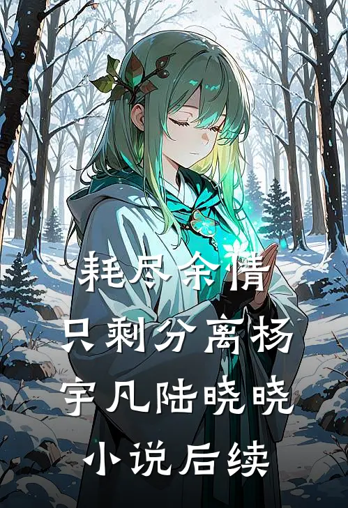 耗尽余情，只剩分离杨宇凡陆晓晓小说后续