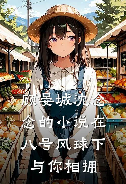 顾晏城沈念念的小说在八号风球下与你相拥